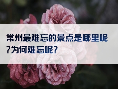 常州最难忘的景点是哪里呢？为何难忘呢？