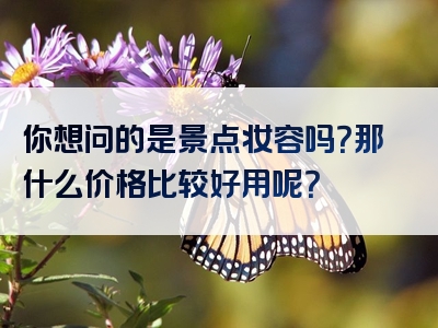 你想问的是景点妆容吗？那什么价格比较好用呢？