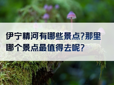 伊宁精河有哪些景点？那里哪个景点最值得去呢？