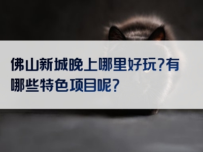 佛山新城晚上哪里好玩？有哪些特色项目呢？