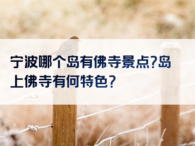 宁波哪个岛有佛寺景点？岛上佛寺有何特色？