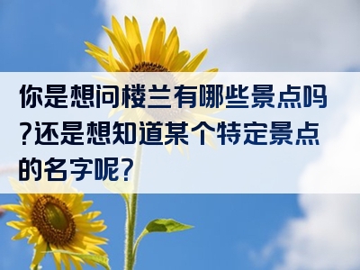 你是想问楼兰有哪些景点吗？还是想知道某个特定景点的名字呢？