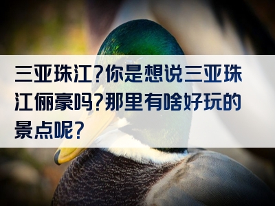 三亚珠江？你是想说三亚珠江俪豪吗？那里有啥好玩的景点呢？