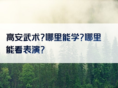高安武术？哪里能学？哪里能看表演？