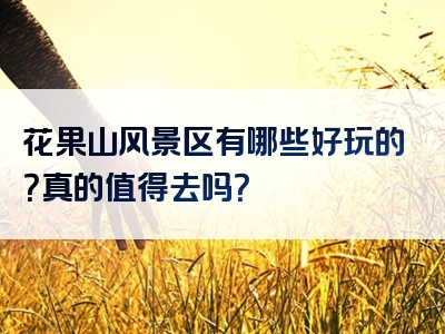 花果山风景区有哪些好玩的？真的值得去吗？