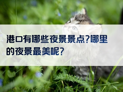 港口有哪些夜景景点？哪里的夜景最美呢？
