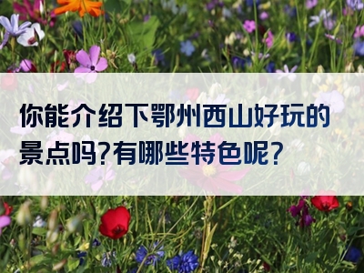 你能介绍下鄂州西山好玩的景点吗？有哪些特色呢？