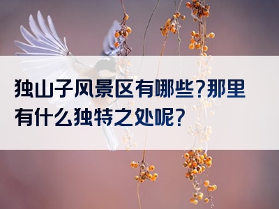 独山子风景区有哪些？那里有什么独特之处呢？