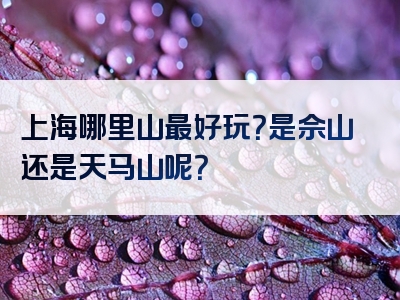 上海哪里山最好玩？是佘山还是天马山呢？