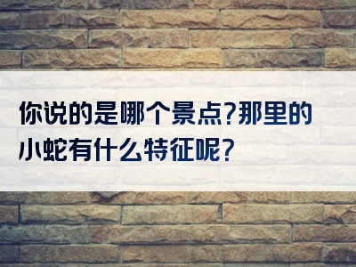 你说的是哪个景点？那里的小蛇有什么特征呢？