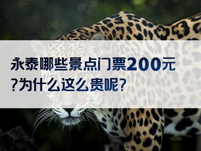 永泰哪些景点门票200元？为什么这么贵呢？