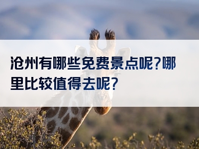沧州有哪些免费景点呢？哪里比较值得去呢？