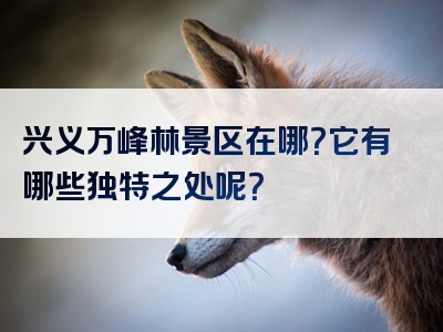 兴义万峰林景区在哪？它有哪些独特之处呢？