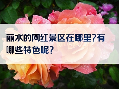 丽水的网红景区在哪里？有哪些特色呢？