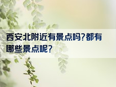 西安北附近有景点吗？都有哪些景点呢？