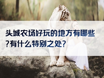 头城农场好玩的地方有哪些？有什么特别之处？