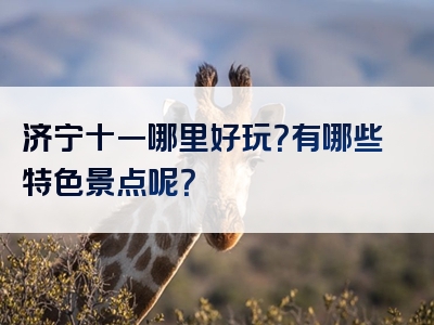 济宁十一哪里好玩？有哪些特色景点呢？