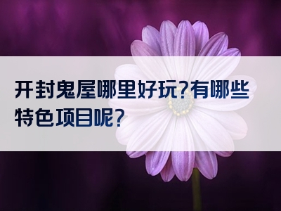 开封鬼屋哪里好玩？有哪些特色项目呢？