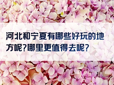 河北和宁夏有哪些好玩的地方呢？哪里更值得去呢？
