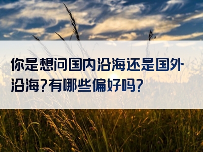 你是想问国内沿海还是国外沿海？有哪些偏好吗？