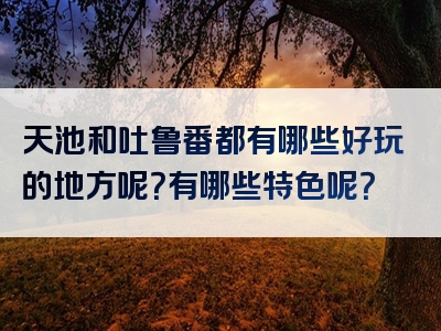 天池和吐鲁番都有哪些好玩的地方呢？有哪些特色呢？