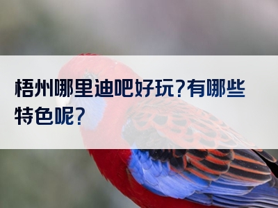 梧州哪里迪吧好玩？有哪些特色呢？
