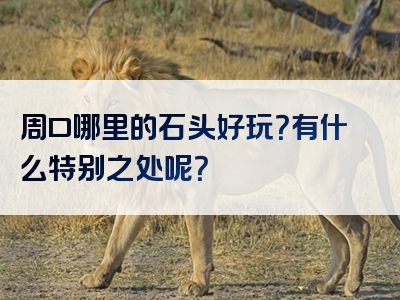 周口哪里的石头好玩？有什么特别之处呢？