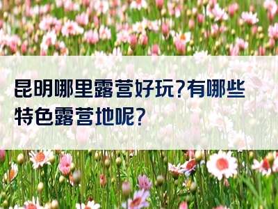 昆明哪里露营好玩？有哪些特色露营地呢？