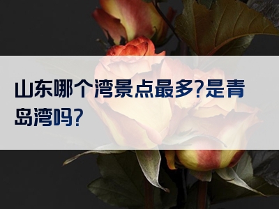 山东哪个湾景点最多？是青岛湾吗？