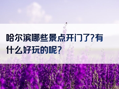 哈尔滨哪些景点开门了？有什么好玩的呢？