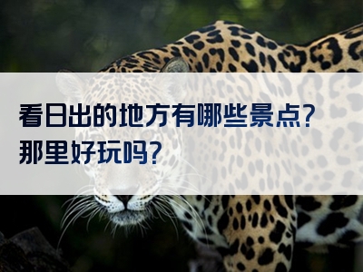 看日出的地方有哪些景点？那里好玩吗？
