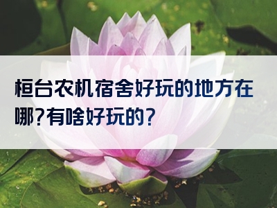 桓台农机宿舍好玩的地方在哪？有啥好玩的？