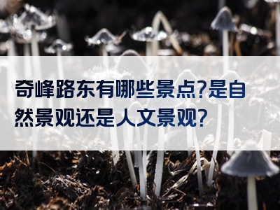 奇峰路东有哪些景点？是自然景观还是人文景观？