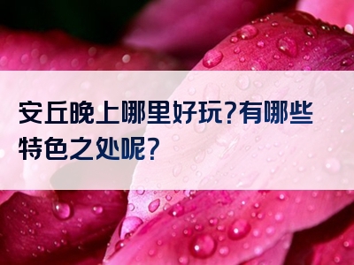 安丘晚上哪里好玩？有哪些特色之处呢？