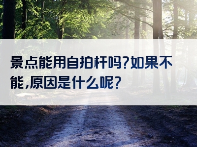 景点能用自拍杆吗？如果不能，原因是什么呢？