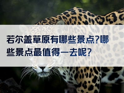 若尔盖草原有哪些景点？哪些景点最值得一去呢？