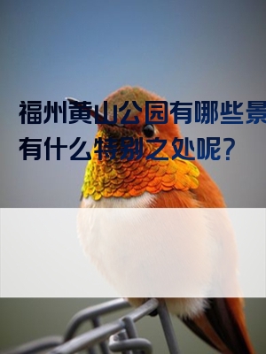 福州黄山公园有哪些景点？有什么特别之处呢？