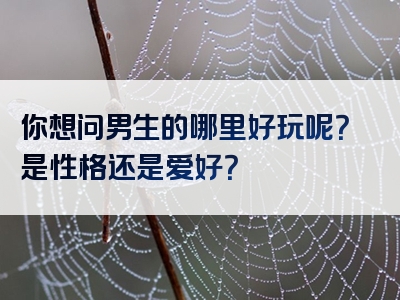 你想问男生的哪里好玩呢？是性格还是爱好？