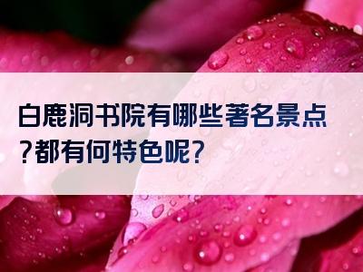 白鹿洞书院有哪些著名景点？都有何特色呢？