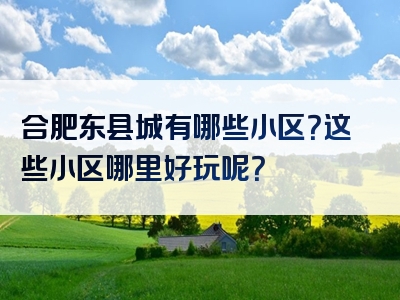 合肥东县城有哪些小区？这些小区哪里好玩呢？