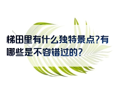 梯田里有什么独特景点？有哪些是不容错过的？