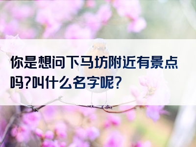 你是想问下马坊附近有景点吗？叫什么名字呢？