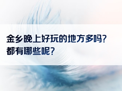 金乡晚上好玩的地方多吗？都有哪些呢？