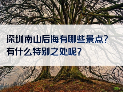 深圳南山后海有哪些景点？有什么特别之处呢？