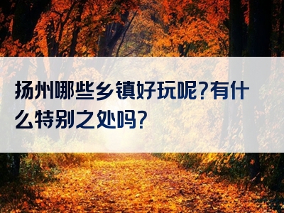 扬州哪些乡镇好玩呢？有什么特别之处吗？