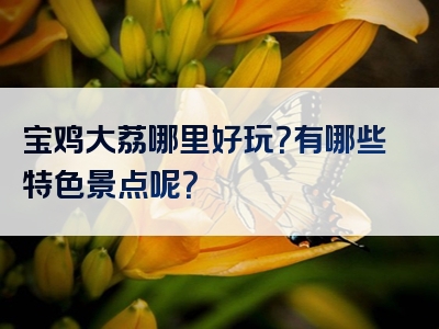 宝鸡大荔哪里好玩？有哪些特色景点呢？