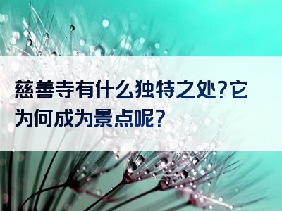 慈善寺有什么独特之处？它为何成为景点呢？