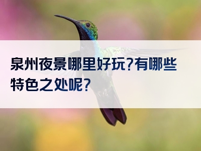 泉州夜景哪里好玩？有哪些特色之处呢？