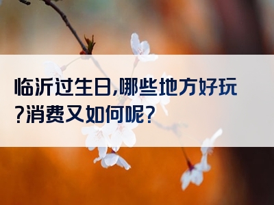 临沂过生日，哪些地方好玩？消费又如何呢？