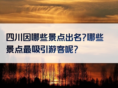 四川因哪些景点出名？哪些景点最吸引游客呢？